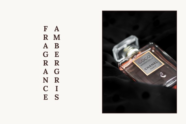 ambergris fragrance
