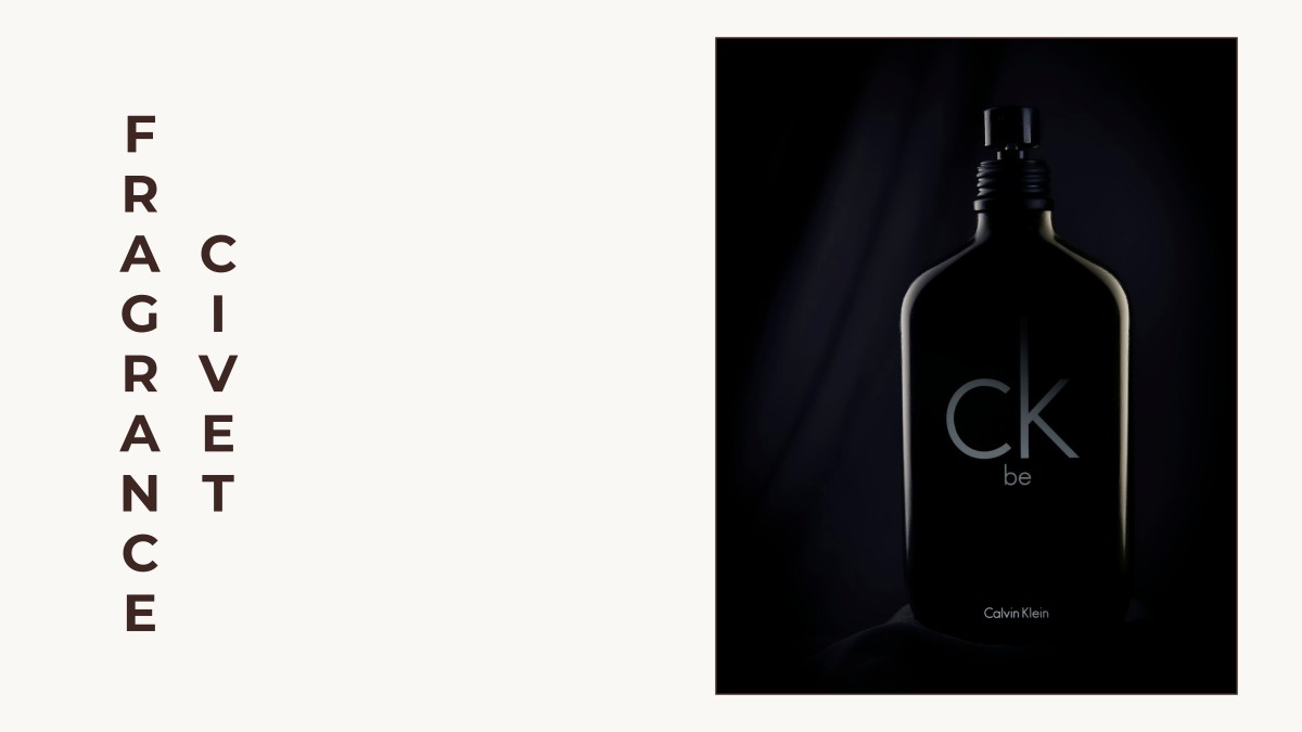 civet fragrance