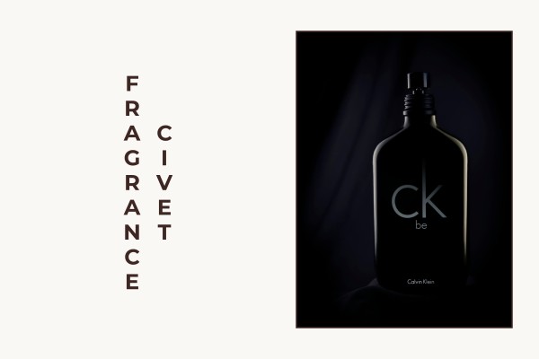 civet fragrance