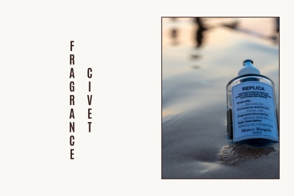 civet fragrance