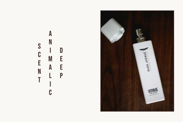 deep animalic scent